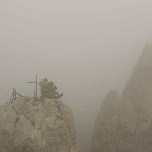 Photo #6765487