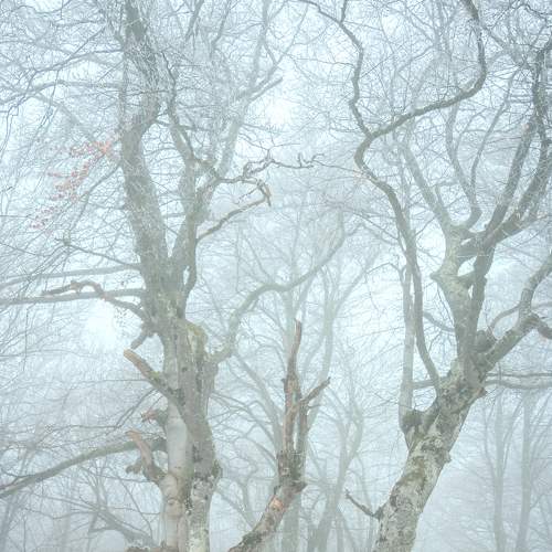 Photo #6765735