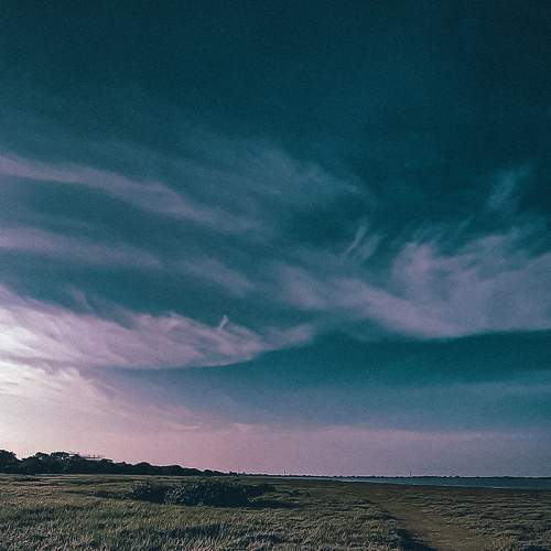 Photo #6765904