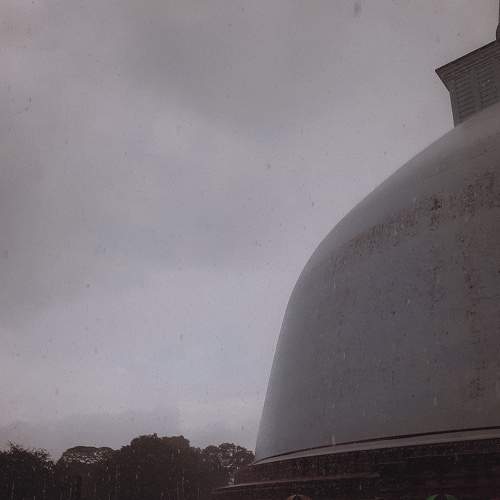 Photo #6765914