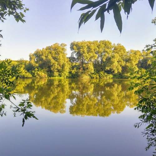 Reflection
