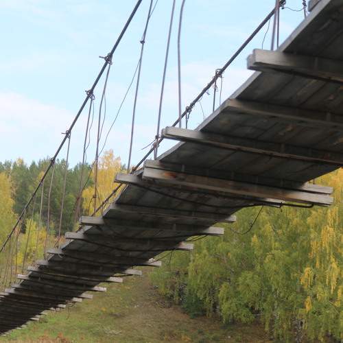 Photo #6766035