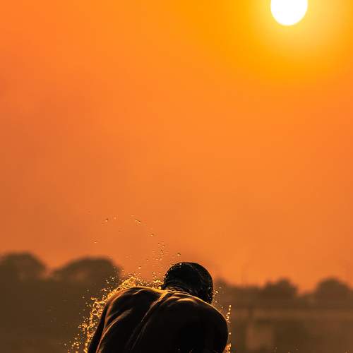 Photo #6766071