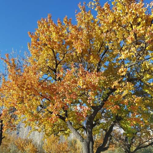 Photo #6766084