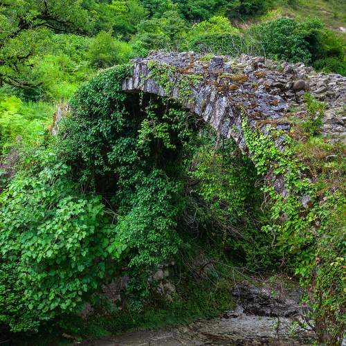 Photo #6766634