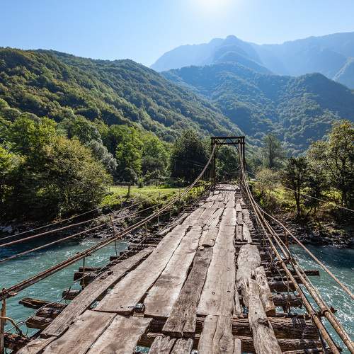 Photo #6766635