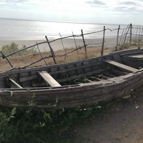 Photo #6766666