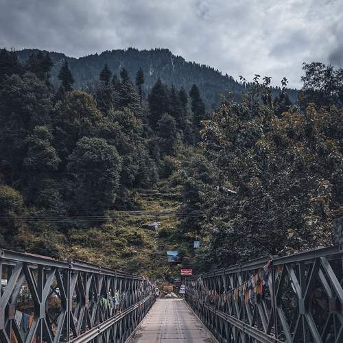 Photo #6766699