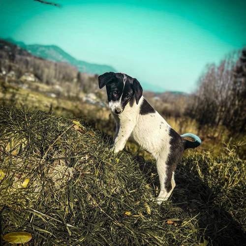 Photo #6766757