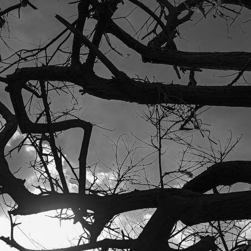 Photo #6766846