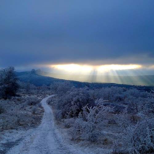 Photo #6767099