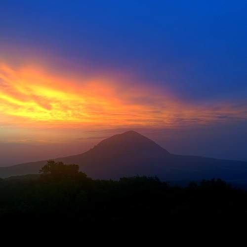 Photo #6767112