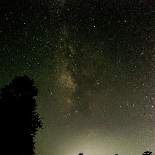 Photo #6767115
