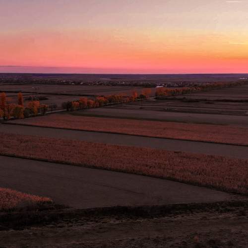 Photo #6767379