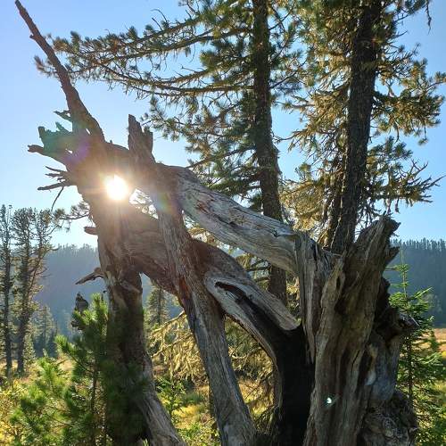 Photo #6767602