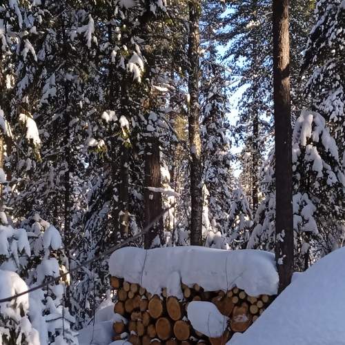 Photo #6767713