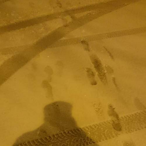 Photo #6767726