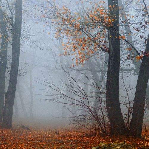 Photo #6767766