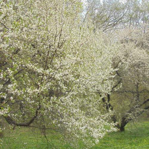 Photo #6767771