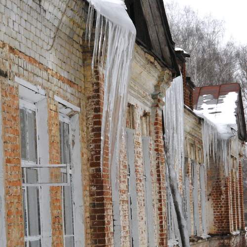 Photo #6767799