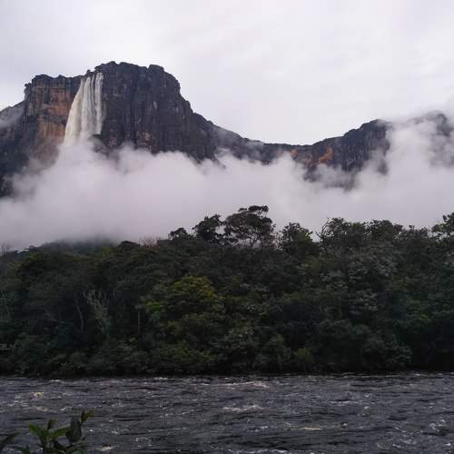 Photo #6767909