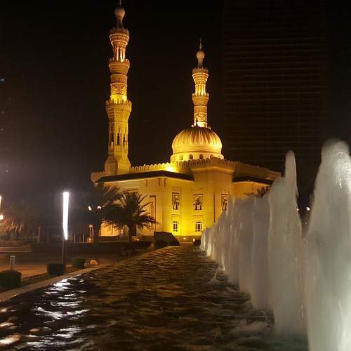 Photo #6767963