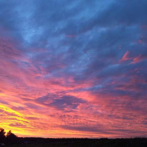 Photo #6768453