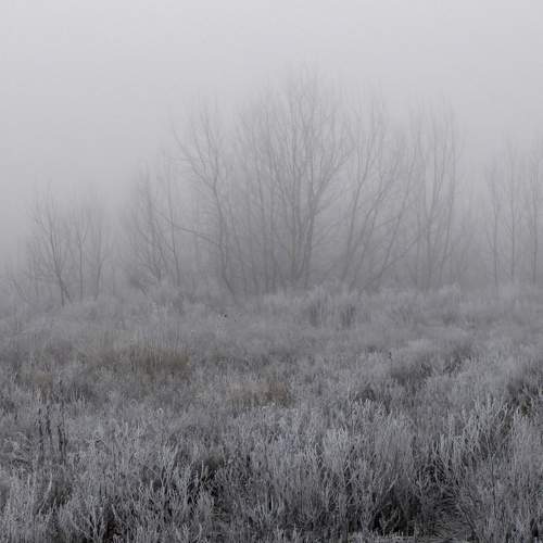Photo #6768541
