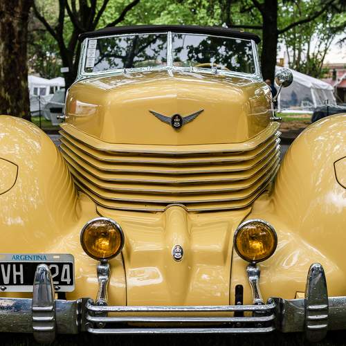 Photo #6768594