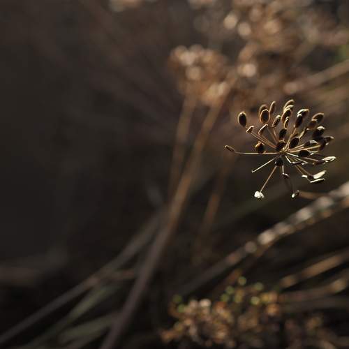 Photo #6768694