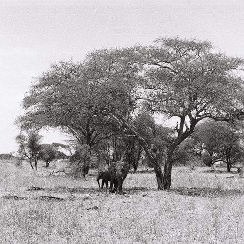 Photo #6768703