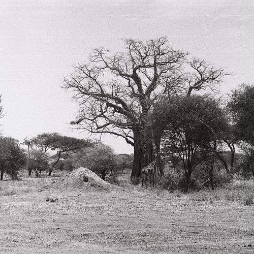 Photo #6768704