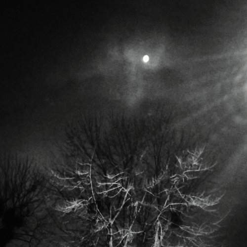 In the darkness of the night