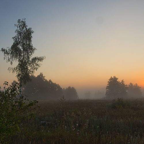 Photo #6768853