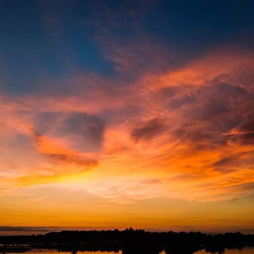 Photo #6769334
