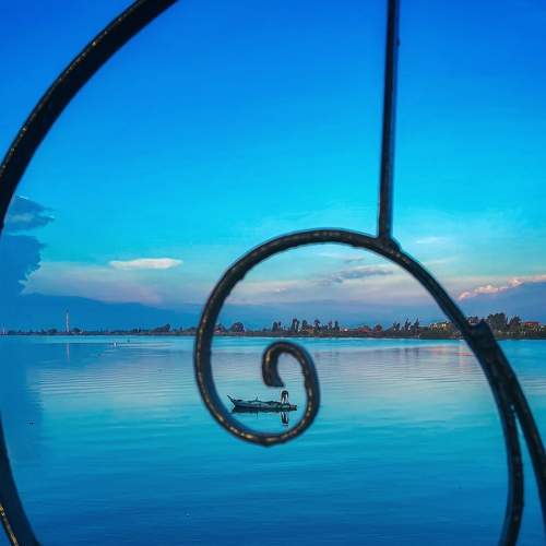 Photo #6769598