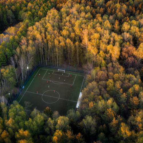 Photo #6769620