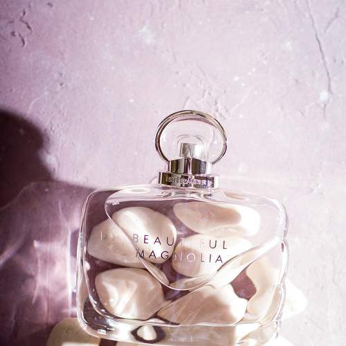 Photo #6769651