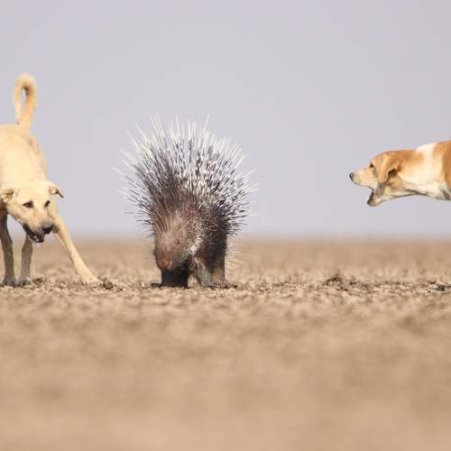 Photo #6769809