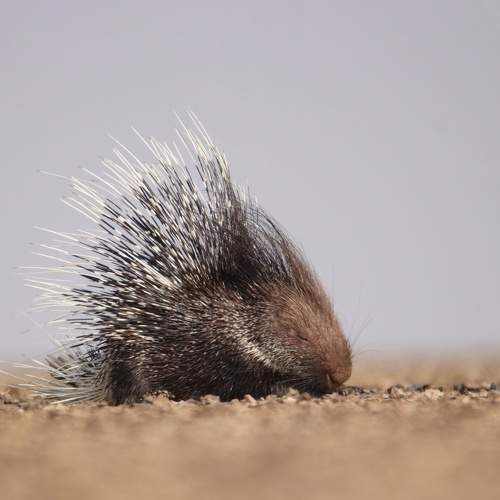 Photo #6769814