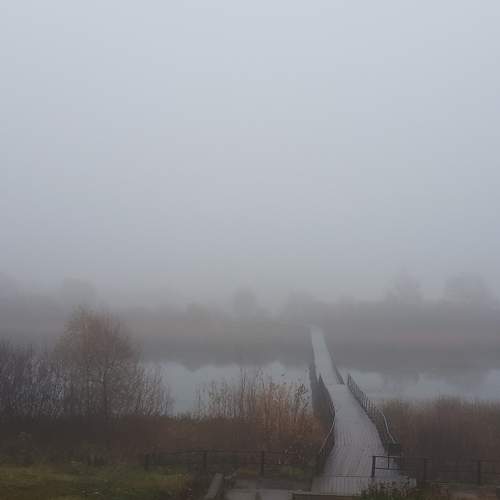 Photo #6769868