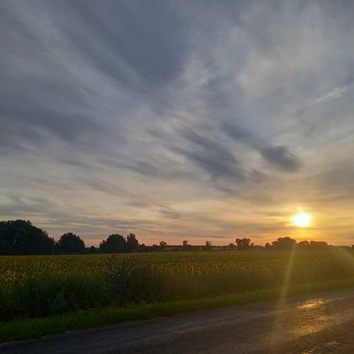 Photo #6769874