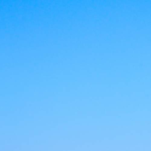 Photo #6769904