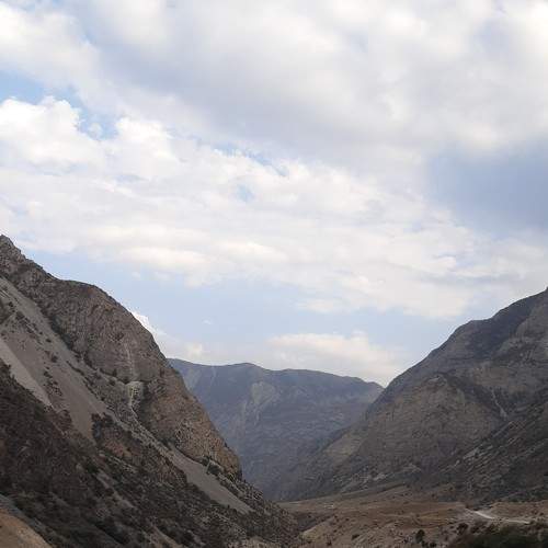 Photo #6770020
