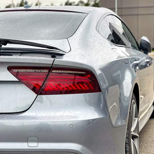 Photo #6770278