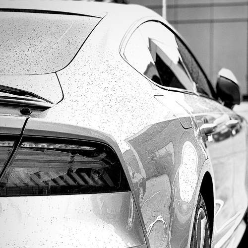 Photo #6770285