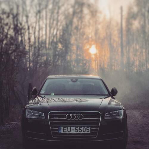 Photo #6770292