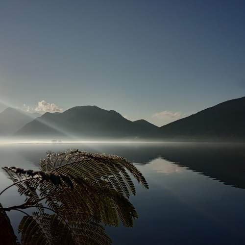 Photo #6770370