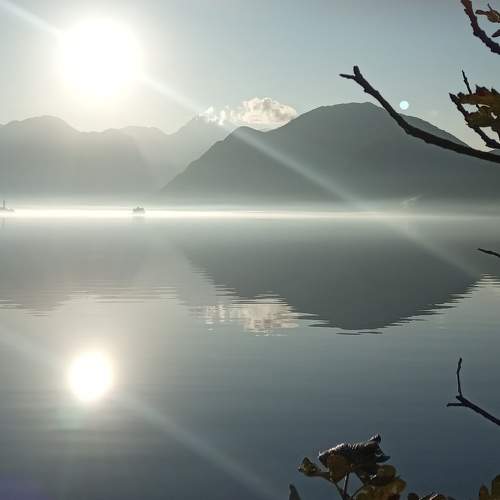 Photo #6770371