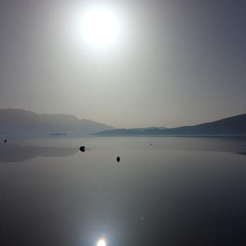 Photo #6770372